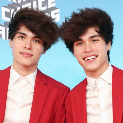 Who Are the Stokes Twins? YouTubers Alan and Alex Stokes Charged