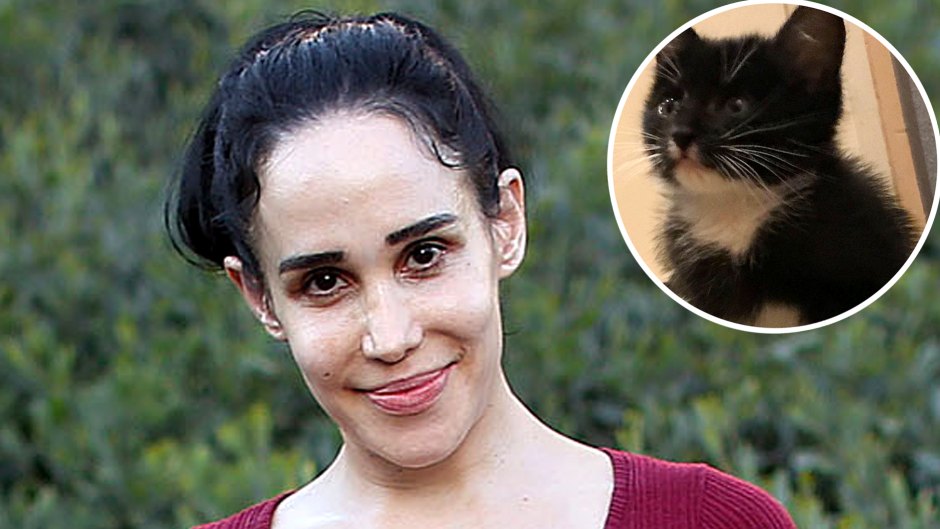Octomom Nadya Suleman Introduces New Addition Her Big Loving Family Boots