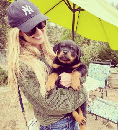 Christina Anstead Introduces Newest Member of Family Amid Ant Divorce