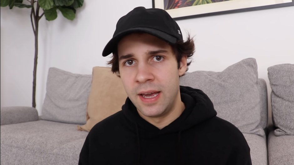 David Dobrik Apologizes Amid Ongoing Vlog Squad Sexual Assault Accusations: Scandal Explained