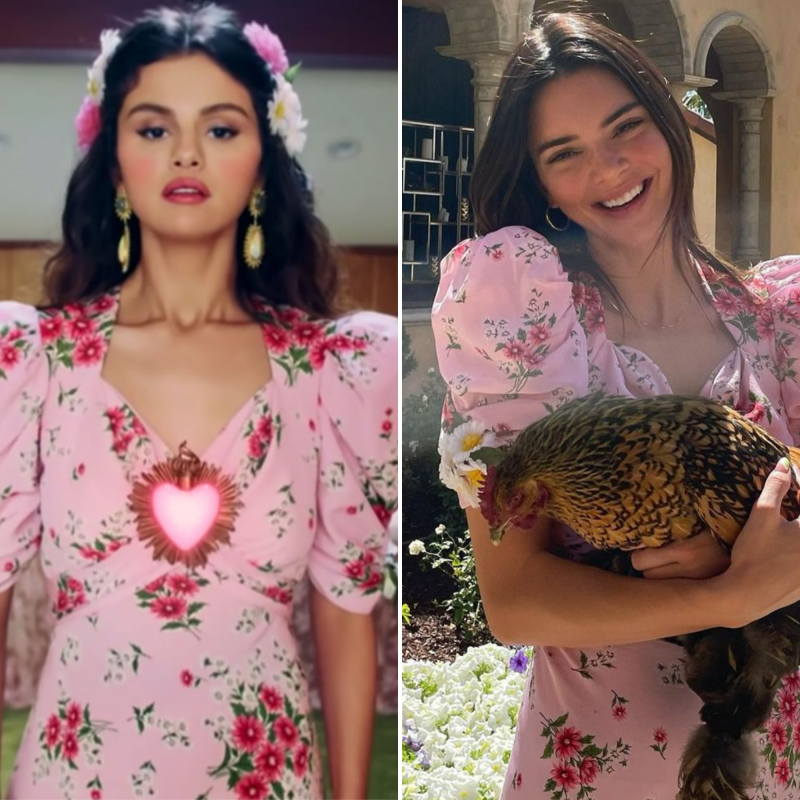 Selena Gomez Fans Slam Kendall Jenner Over Deleted Dress Tweet