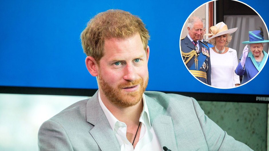 Royal Family Livid After Prince Harry Compared Childhood Living in a Zoo