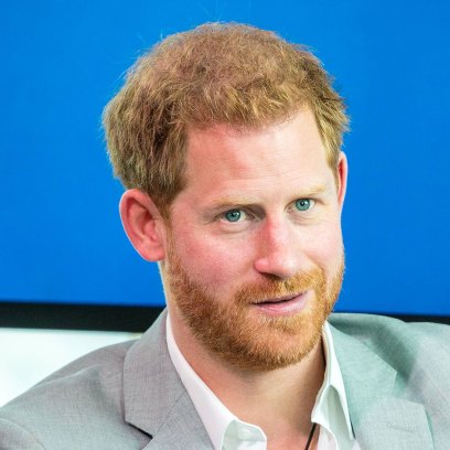 Royal Family Livid After Prince Harry Compared Childhood Living in a Zoo