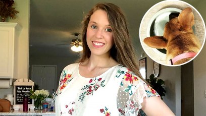 Jill Duggar Fires Back After Criticism Over Giving Her Dog Breast Milk Just Chill