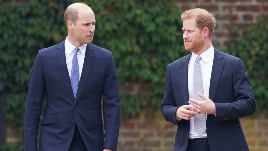 Prince William and Prince Harry Still Have 'Deep-Rooted Issues' to Resolve Following Their Reunion