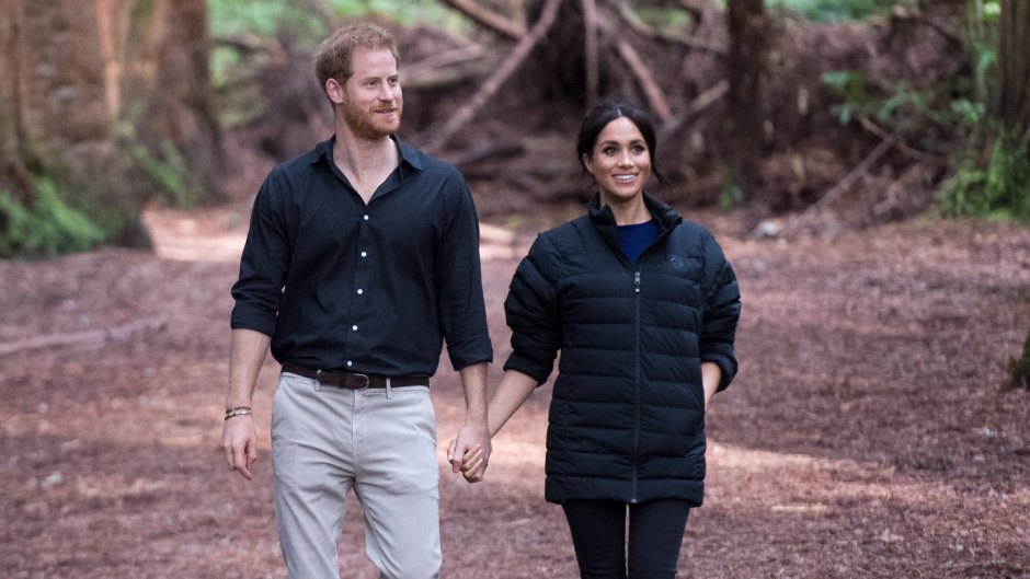 Prince Harry and Meghan Markle Wanted To Move To New Zealand