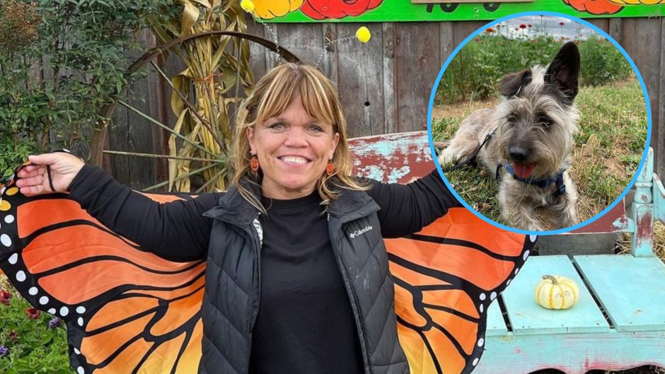 What Happened to Amy Roloff's Dog? Rescue Pup Dead at Age 6