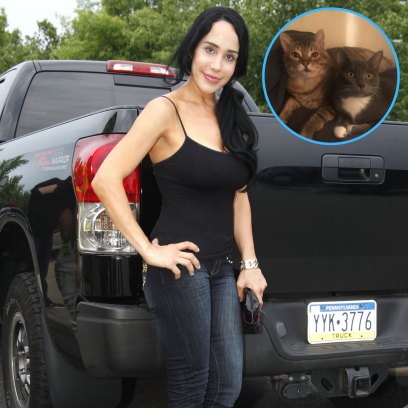 ‘Octomom’ Nadya Suleman Introduces Newest Member of Her Family: Meet the Family's Cat Mimi