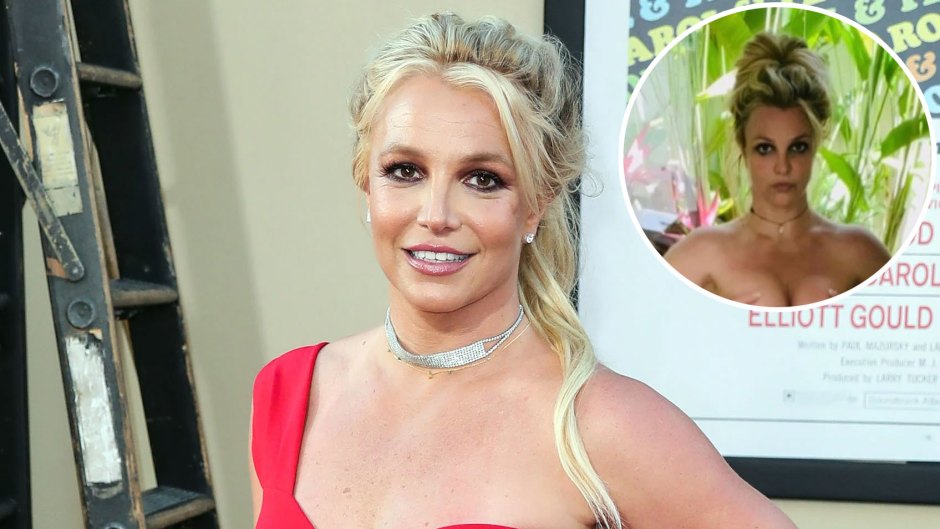 Britney Spears' Nude Throwback Photos Before Pregnancy