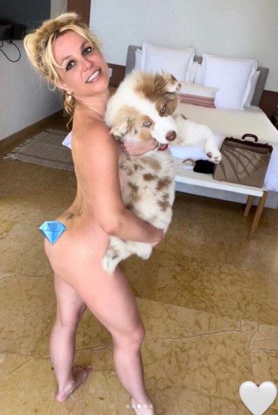 Britney Spears Poses Nude While Pregnant