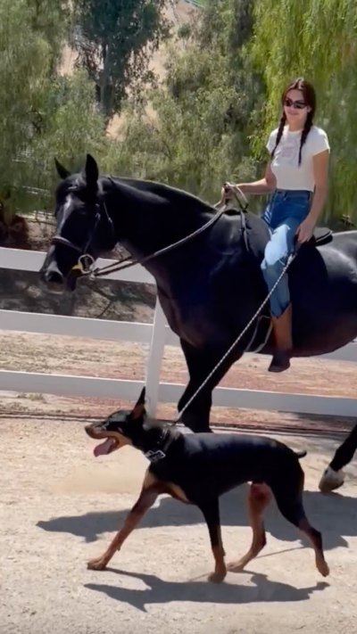 Kendall Jenner Goes Braless While Horseback Riding, Walking Her Dog in New Video