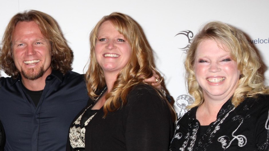 Inside 'Sister Wives' Stars Janelle and Kody Brown's Marriage After Christine Split: It's 'Very Respectful'