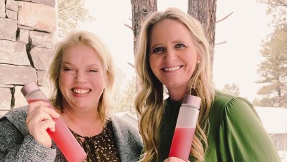 Inside Sister Wives’ Christine Brown and Janelle Brown’s Close Friendship Amid Kody Breakups