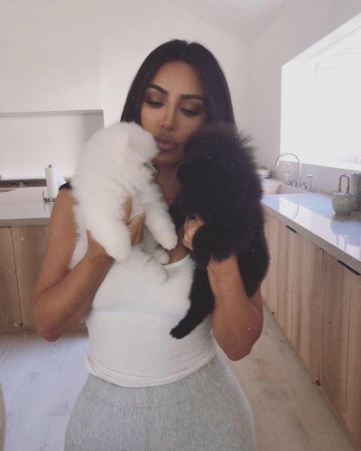 Fans Slam Kim Kardashian After It Appears Her Dogs Live in the Garage: 'They Need Love'