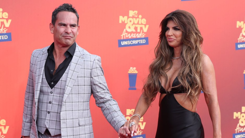 Teresa Giudice's Husband Luis Ruelas Reacts to Fake Cartier Jewelry Accusations: 'Focus Should Be Elsewhere'