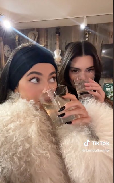Kendall and Kylie Jenner Recreate 'RHOBH' Lisa Rinna and Kathy Hilton's Tequila Feud 