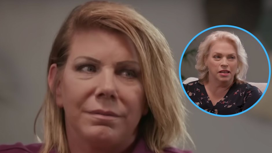 Sister Wives’ Meri Brown Reunites With Janelle's Sons Amid Abuse Allegations: Photo