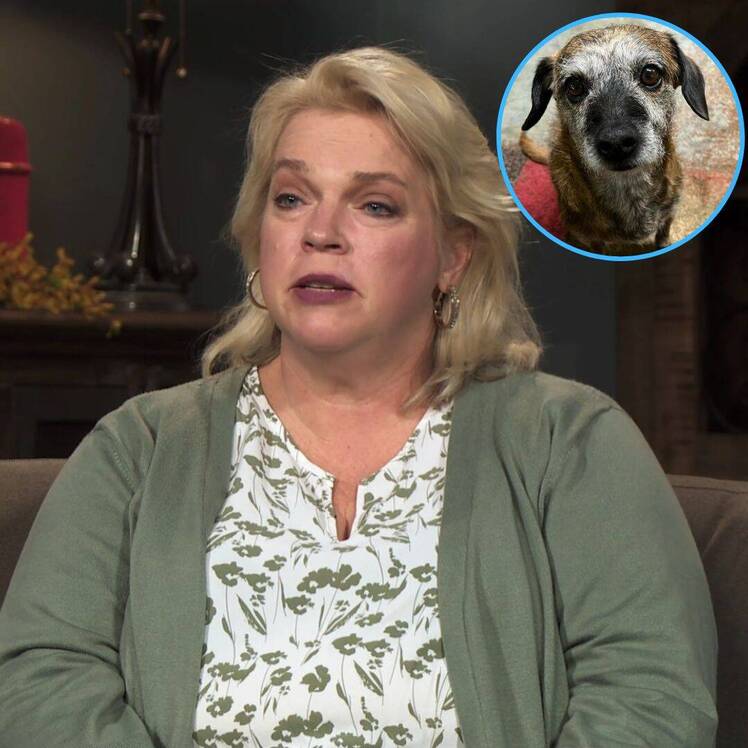 Sister Wives' Janelle Brown Dog Jack Died: Pet Death | In Touch Weekly