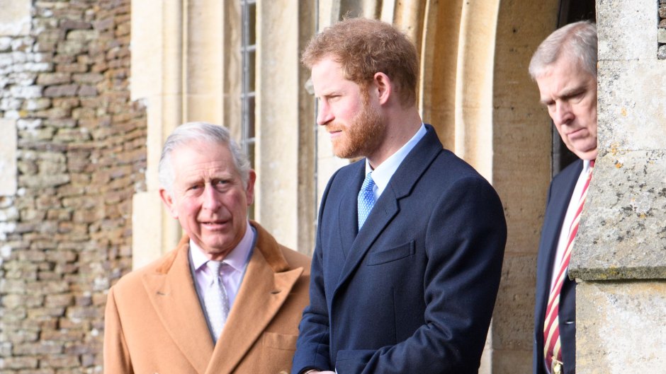 Is Prince Harry the Son of King Charles? The Duke of Sussex’s Relationship to the Royal Family Explained