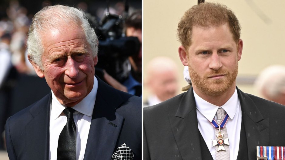 King Charles III Features Son Prince Harry in Father’s Day Tribute Amid Ongoing Feud