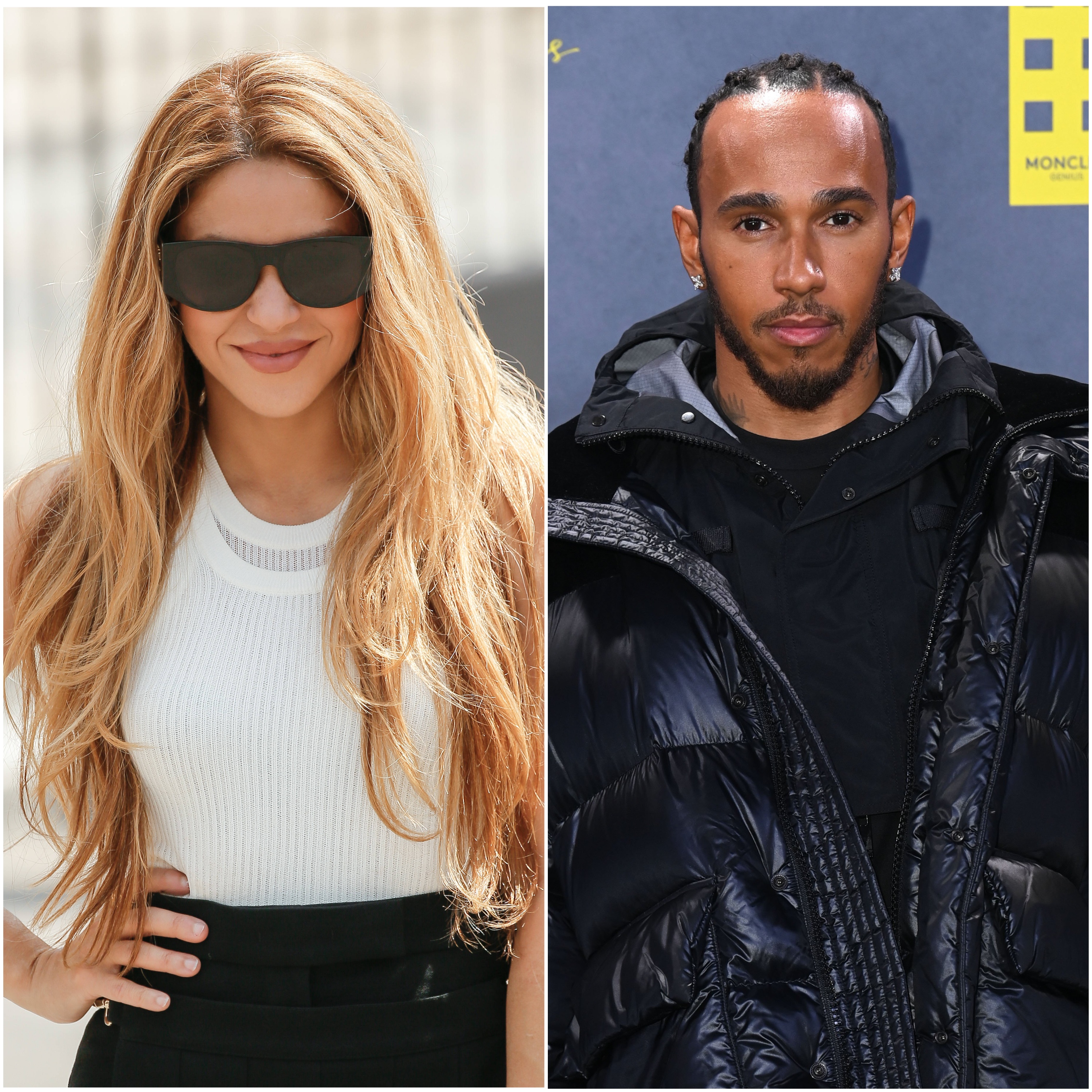 Shakira and Lewis Hamilton are in the early stages of dating, according to  reports
