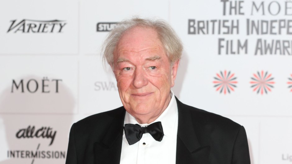 Michael Gambon Had an Impressive Net Worth: Find Out How the 'Harry Potter' Actor Made Money