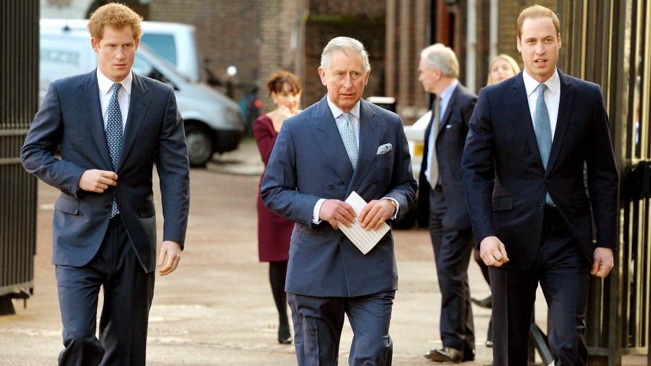 Prince Harry and King Charles ‘Talk’ Despite Tension With Prince William: ‘Willingness There’