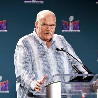 Kansas City Chiefs coach Andy Reid wearing a grey and white striped button down.