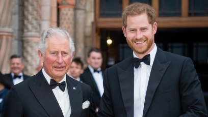 Prince Harry's 'Truce' With King Charles Is 'Over' After Visit