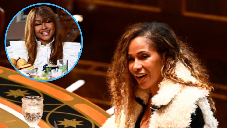 Traitors' Sheree Whitfield Saved Phaedra Parks for Strategy