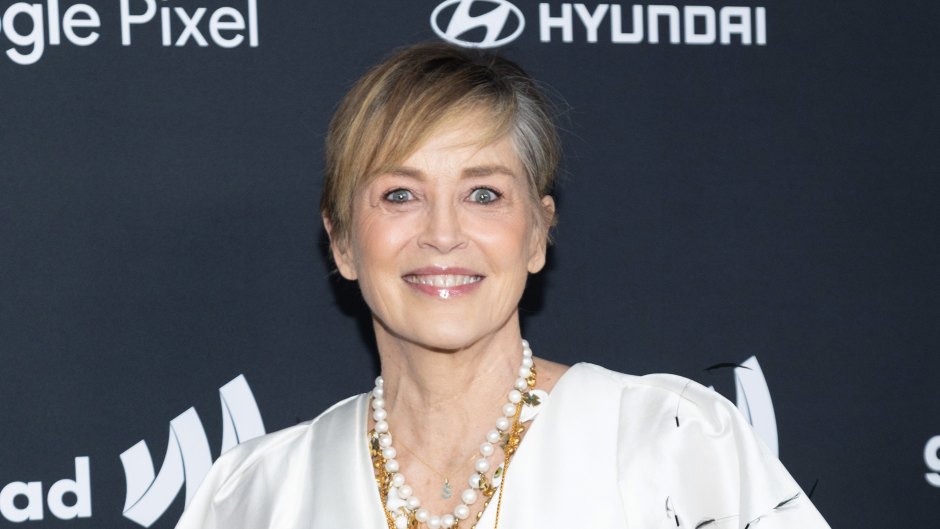 Sharon Stone Looking for Mr. Right After Years of Putting ‘Off Finding Love’