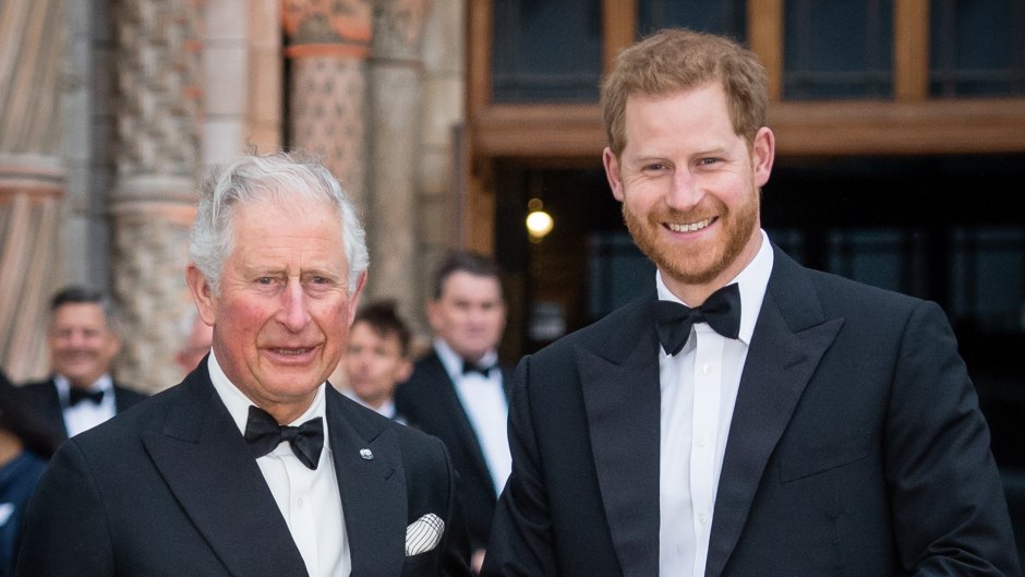 King Charles' 1 Regret Over Prince Harry's Upbringing
