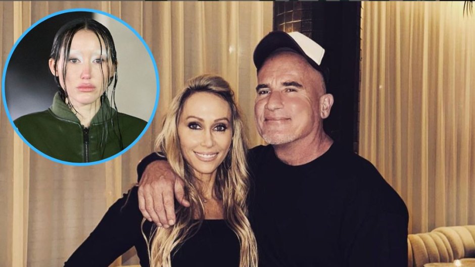 tish cyrus and dominic purcells marriage is on the line