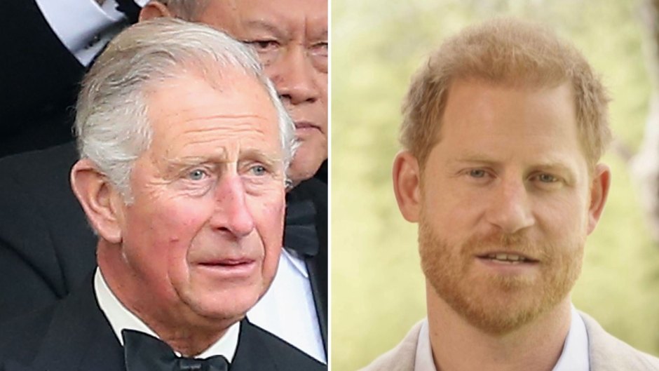 King Charles Will Be Too Busy to See Son Prince Harry During His Trip to the U.K.